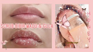 Download Lagu DIY Scrub Bibir Alami Gula dan Madu untuk Bibir Gelap | Jesica Oktavia MP3