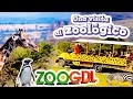 Zoológico de Guadalajara Tour completo- 2023