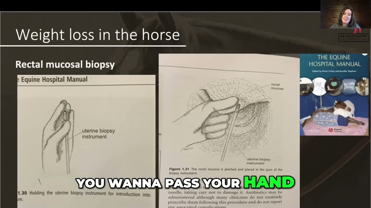 Horse Rectal Exam Safety: How to Prevent Rectal Tears in Equine Biopsy Procedures