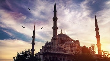 سورة البلد للشيخ وديع اليمني