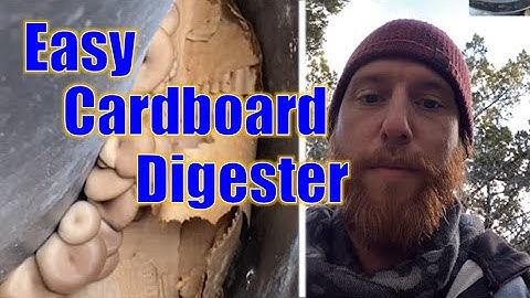 STOP Wasting Cardboard From Amazon - GROW Mushrooms Instead! #texas #mushroom #zerowaste