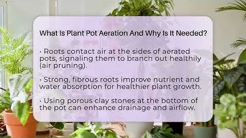 What Is Plant Pot Aeration And Why Is It Needed? - The Plant Enthusiast