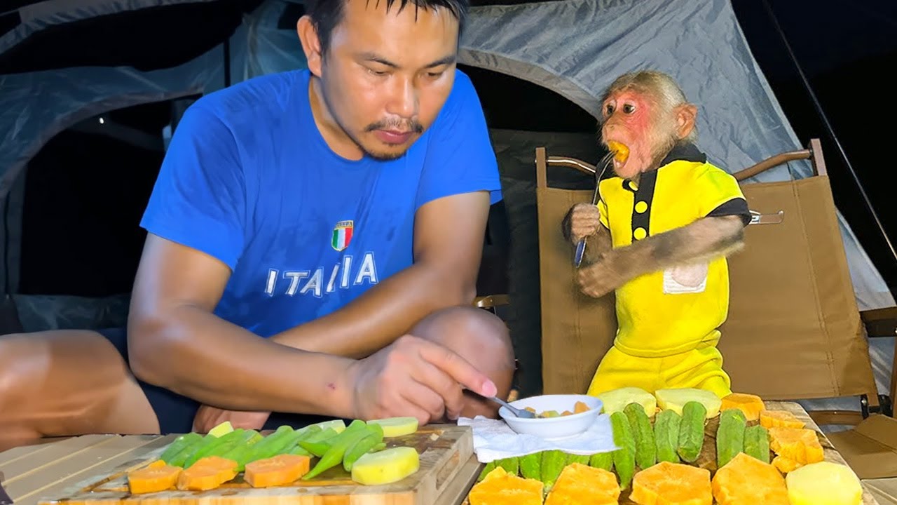 So Cute! Monkey Bibi Watches His First Sunset with Dad at the Beautiful Beach 🌅🐵