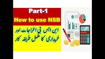 How to use NSB | NSB Expenditure Method, Process and Steps | Complete Guidance