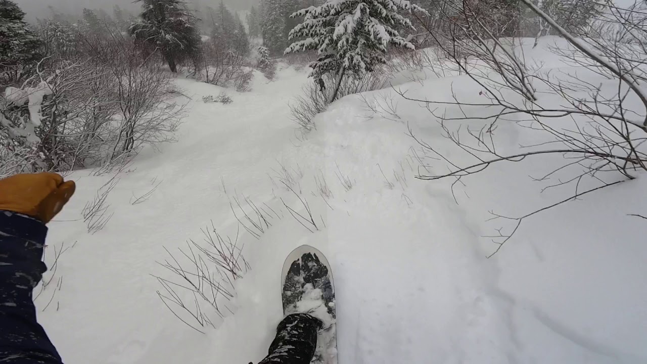 Februburied Bogus Basin Pow Day 2021