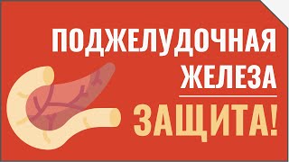 Поджелудочная железа. Хронический Панкреатит. Диабет. Как защитить поджелудочную от повреждения?