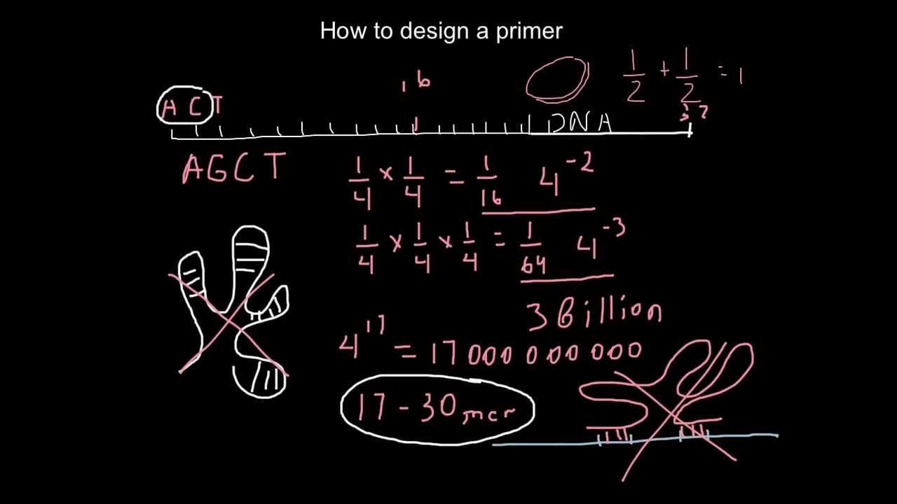 How to design a primer - YouTube