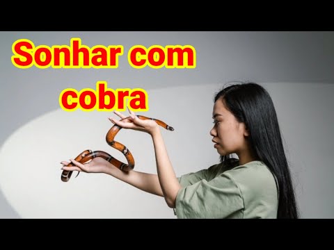 O que significa sonhar com cobra?significado dos sonhos