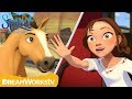 Lucky Goes to Boarding School | SPIRIT RIDING FREE