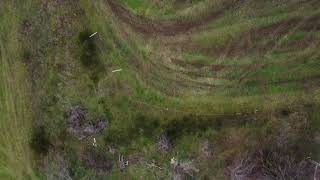 Der Farrenberg In Oberwürzbach