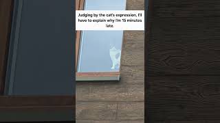 I Think I Have A Problem.