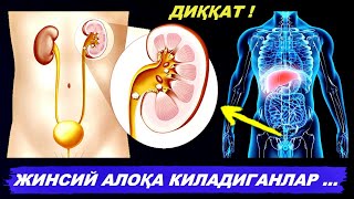 ДАХШАТ ! ХАММА КЎРСИН ЖИНСИЙ АЛОҚАНИНГ НОЗИК НУҚТАСИ...