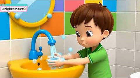 AI khởi động KHTN 8 cánh diều Bài 33: Môi trường trong cơ thể và hệ bài tiết ở người