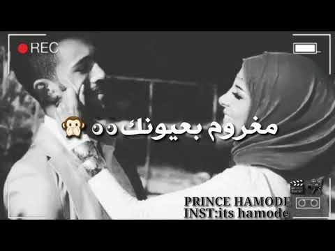 مغروم فيكي