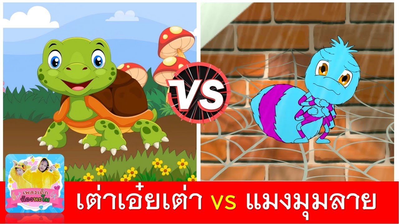 เต่าเอ๋ยเต่า vs แมงมุมลาย