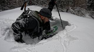 Backcountry Snowshoe Adventure at 11,000 Ft. in the Rocky Mountains