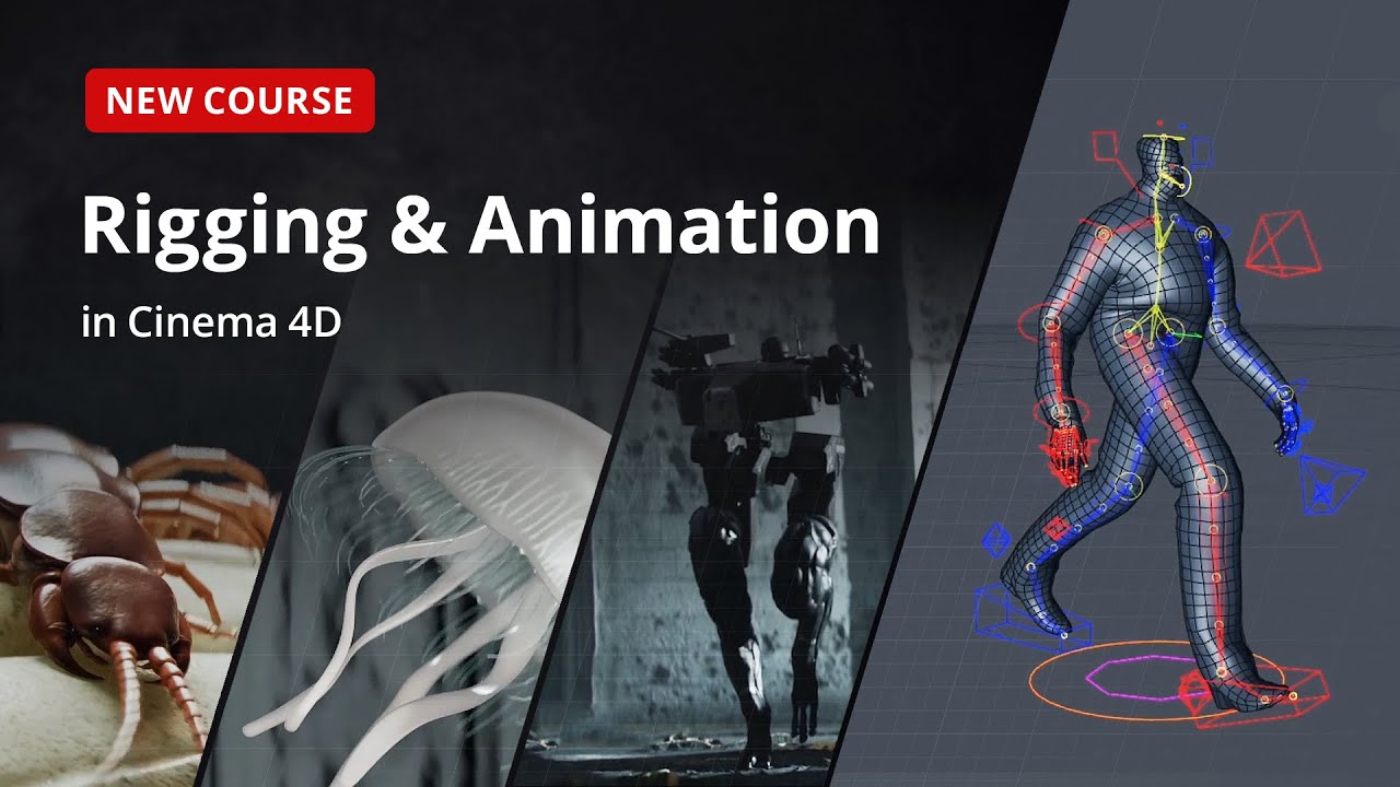 Rigging and Animation in Cinema 4D