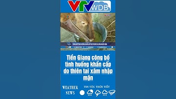 Tiền Giang công bố tình huống khẩn cấp do thiên tai xâm nhập mặn | VTVWDB