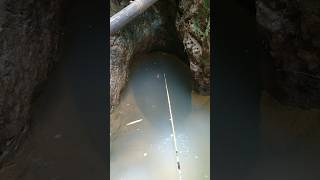 mancing ikan wader #fishing #mancingceria #mancing #mancingmantap #mancingmania #nature