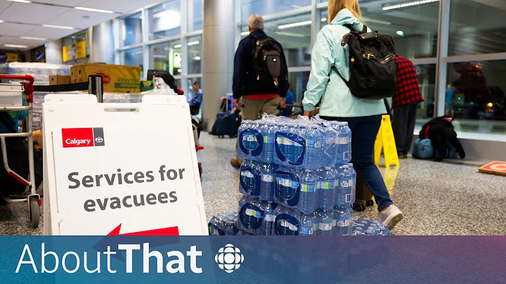 As Yellowknife residents return home, a wildfire evacuation plan in reverse | About That