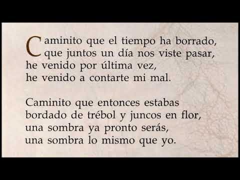 JUAN D'ARIENZO -
