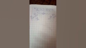 ĐẠI LỄ GIỖ QUỐC TỔ HÙNG VƯƠNG MÙNG 10 THÁNG 03 ÂL