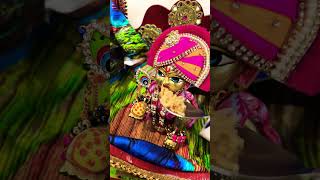 दिन में लड़ू को नमकीन चावल का भोग kanha ladoogopal jaishreekrishna youtubeshorts radheyradhey