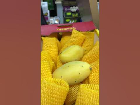 Манго КЕО - YouTube