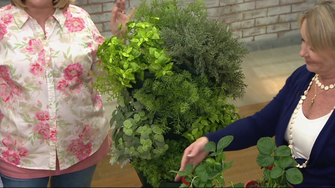 Barbara King 4piece Stackable Planter Tower on QVC YouTube