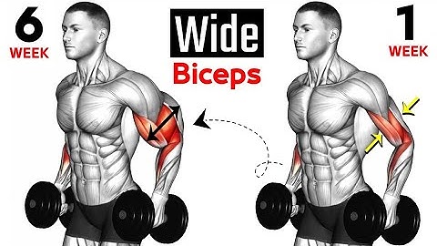 BICEPS WORKOUT - Ultimate Dumbbell Workout for Huge Arms