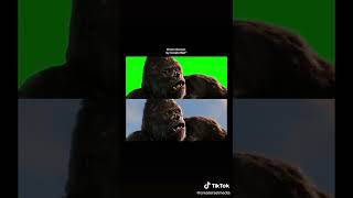 King Kong Green Screen #shorts #kingkong #greenscreen