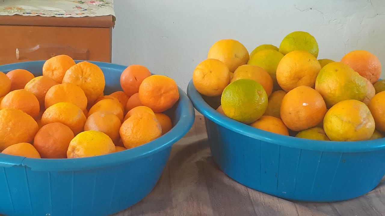 COMO LIMPAR LARANJA E LIMÃO PARA FAZER DOCES
