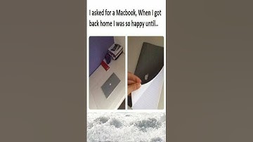 Memes for True Programmers: 243