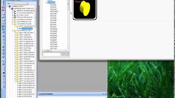 AVEVA  PDMS  Paragon  Customisation  Catalogue viewer