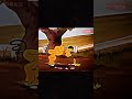 Cartoon Vibes - Part 12 #CartoonVideo #FunnyCartoons #CartoonNetwork #CartoonLife