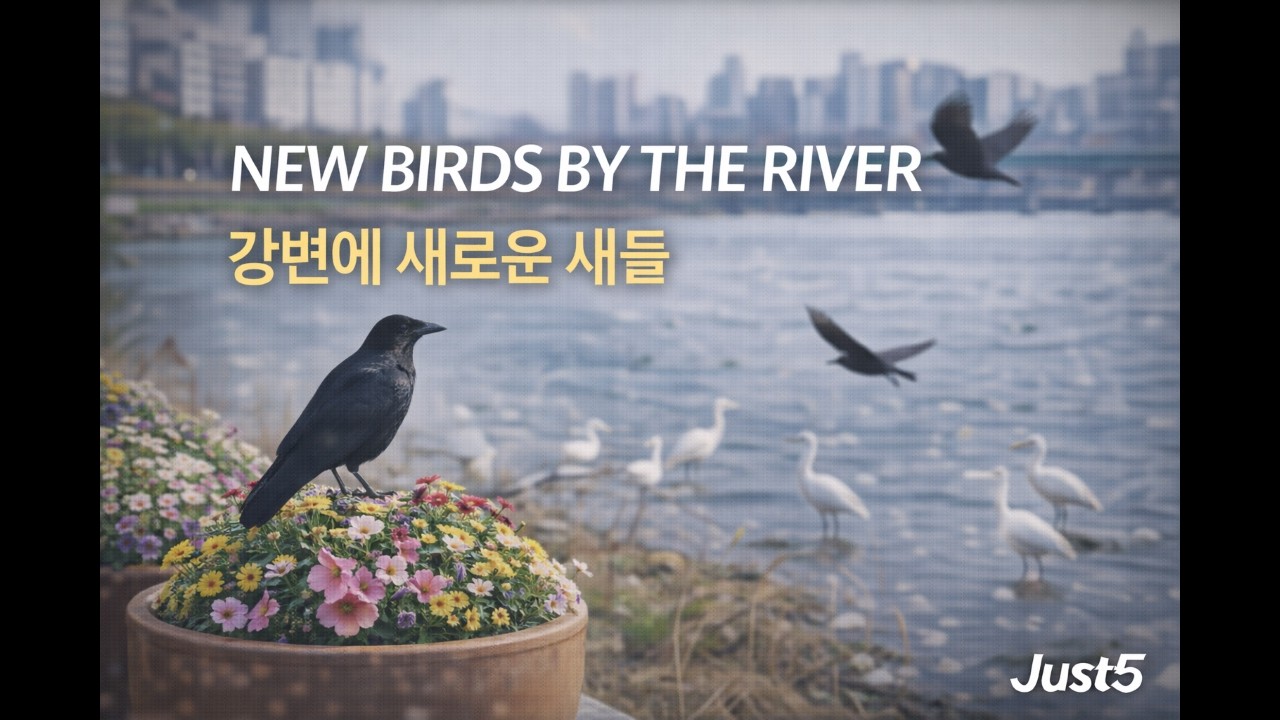 [EN] New Birds by the River  [KR] 강변에 새로운 새들