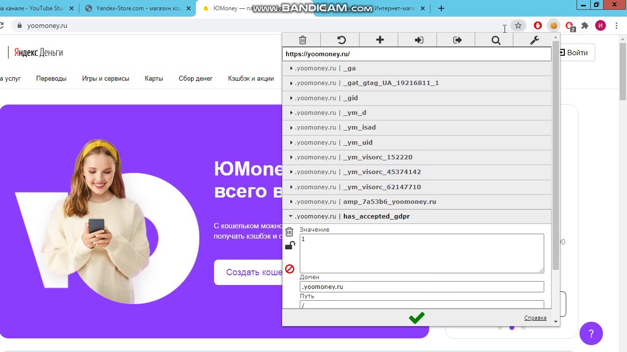 Как зайти в кошелек яндекс деньги с помощью куков (cookie) - YouTube
