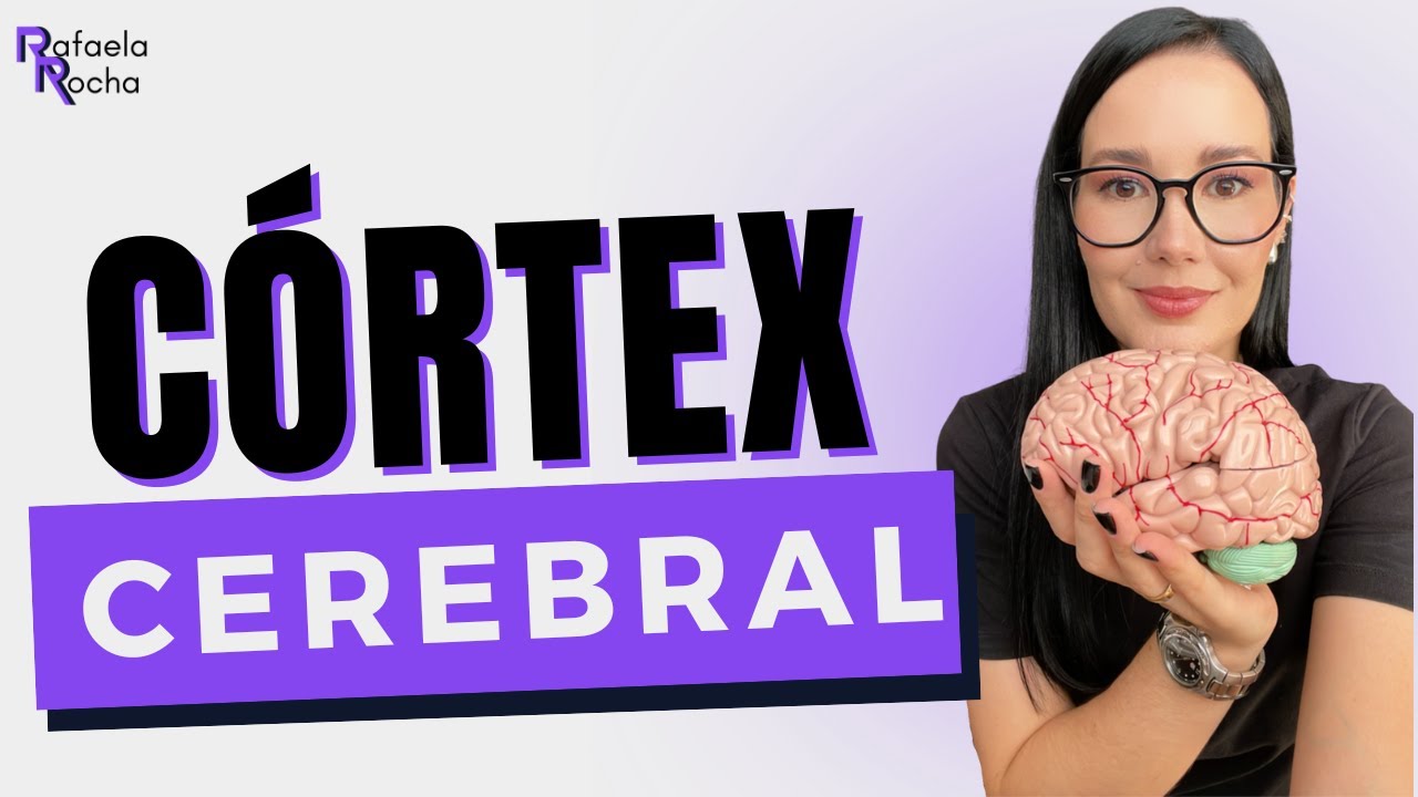 Localização, composição, função e classificação do CÓRTEX CEREBRAL