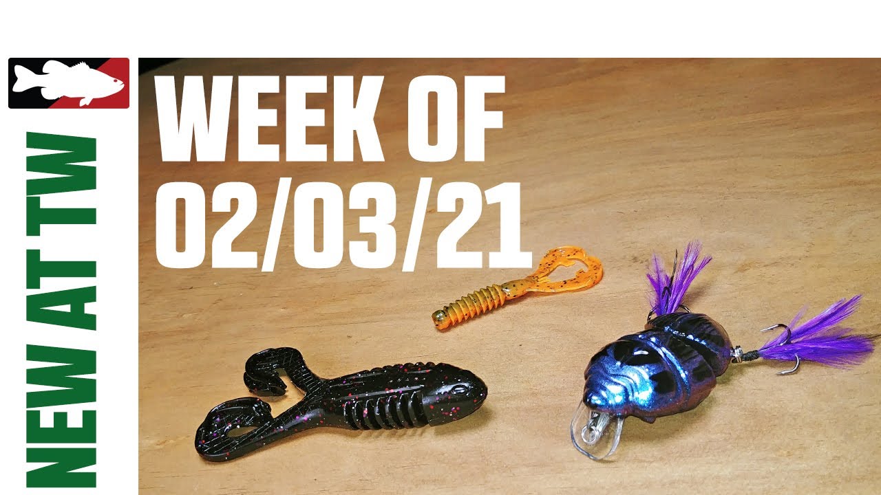 Video Vault - What's New At Tackle Warehouse 2/3/21