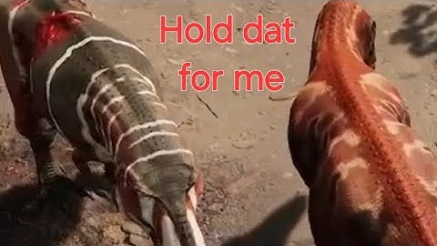 Betrayed the WRONG Trex - Path of Titans Official