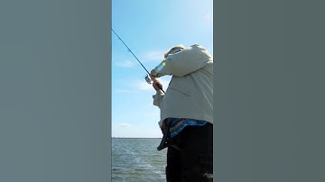 I fell off the poling platform! #fail