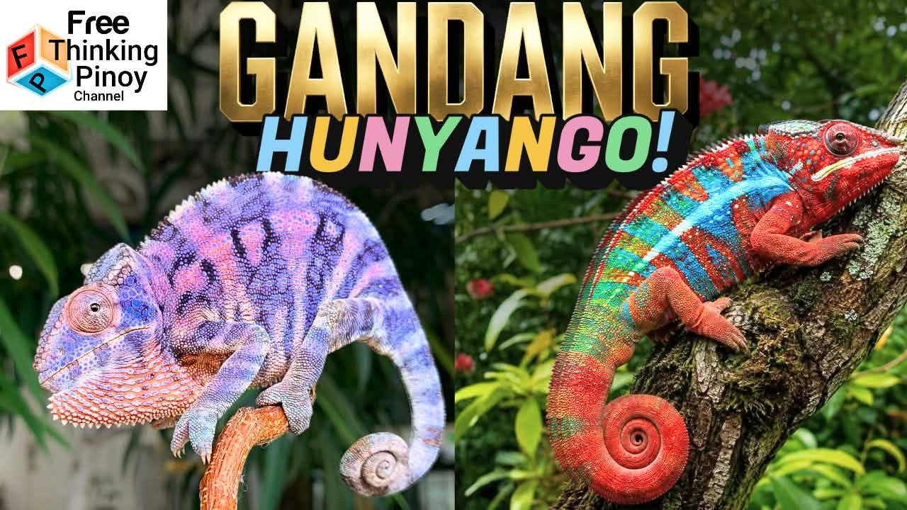 Latest Title & Thumbnail