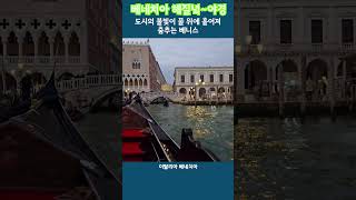 베네치아에 밤이 찾아오면? #박정영 #Venice transforms into a splendid nightscape when the sun sets.#shorts