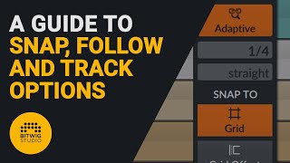 A guide to Snap, Grid and Track options in Bitwig screenshot 5