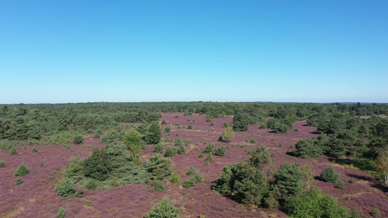 Markelo /bos,heide,schipbeek .