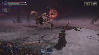 【艾爾登法環 黑夜君臨】雙排挑戰 DLC 廢棄物之王 | 反叛&衝動的史柴格斯 Boss 戰