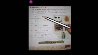 📚#ஓரெழுத்துச்சொற்கள் #tamil #basic #தமிழ் #youtubeshorts #youtube #ytshorts #simpleclasses #📖