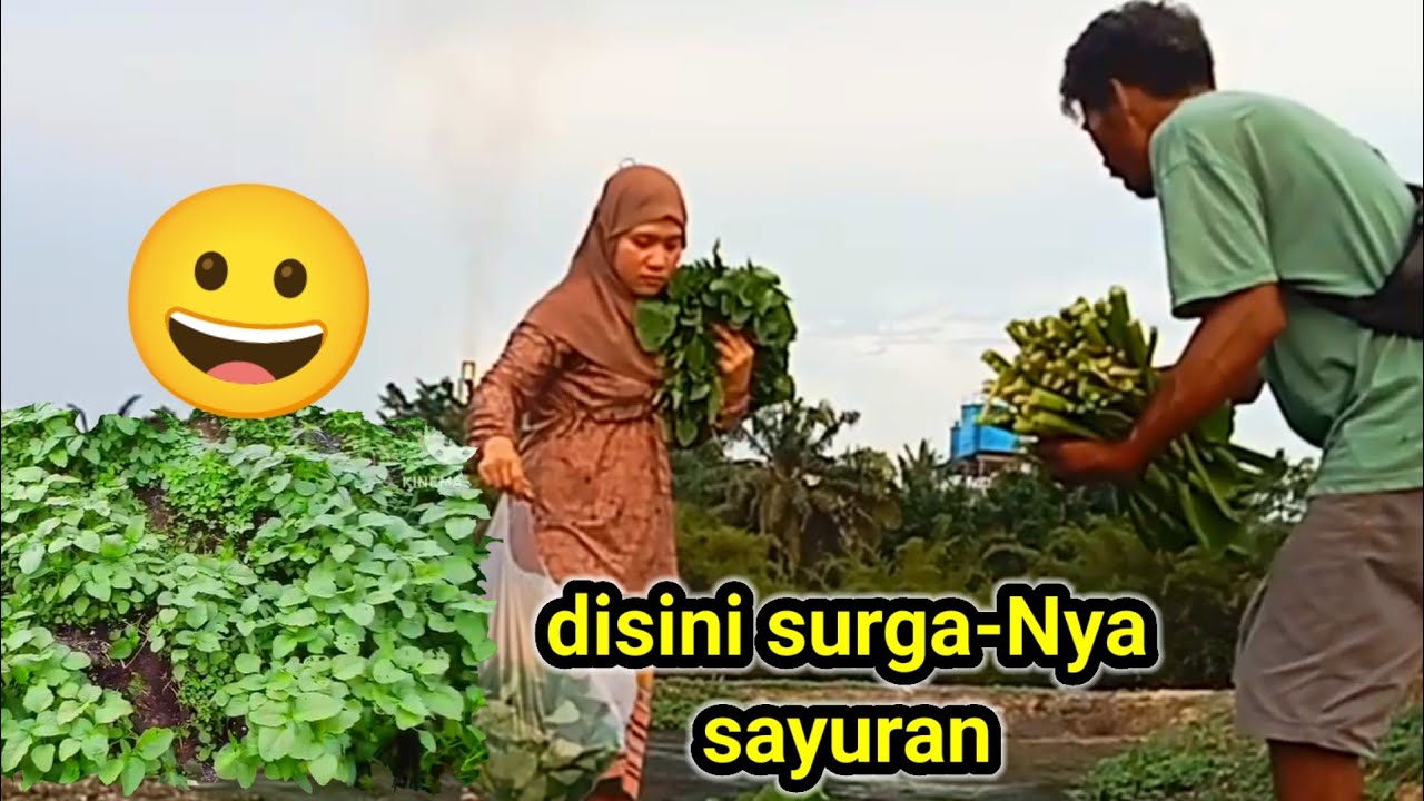surga-Nya sayuran rejeki harus di cari