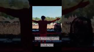 Tnt Records - Cubes #Festival #Tntrecords #Tomorrowland #Clubmusic #Dancemusic
