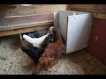 Diy Automatic Chicken Feeder